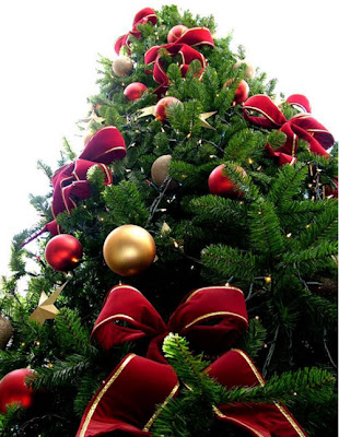 Feliz navidad!