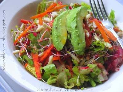 Beet and Carrot Salad with Spring Greens and Agave Nectar and Ginger Vinaigrette and Mock Kibbek sandwich