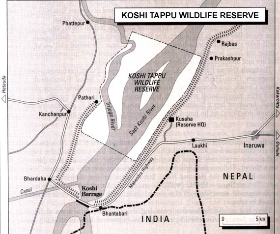 [koshi_tappu_wildlife_map.jpg]