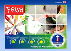 New FEISA website
