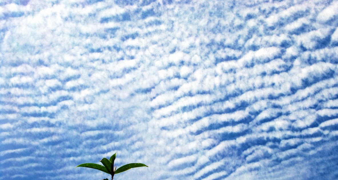 Sky Watch Stratus Clouds