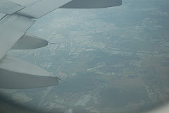 Rice paddies from the plane