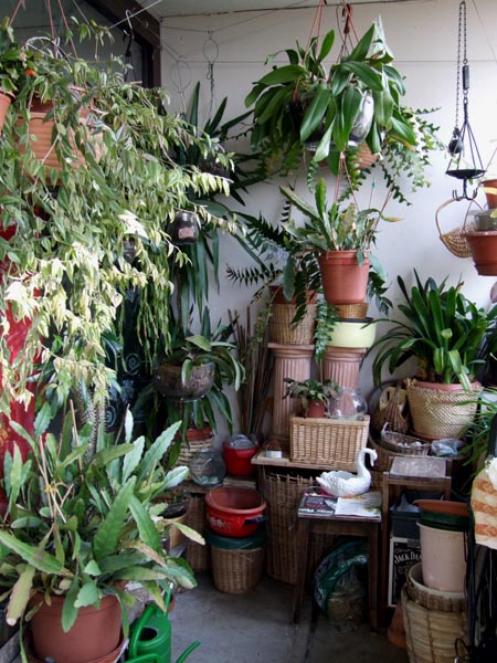 Art and Interior: SMALL SPACES: Balcony Garden