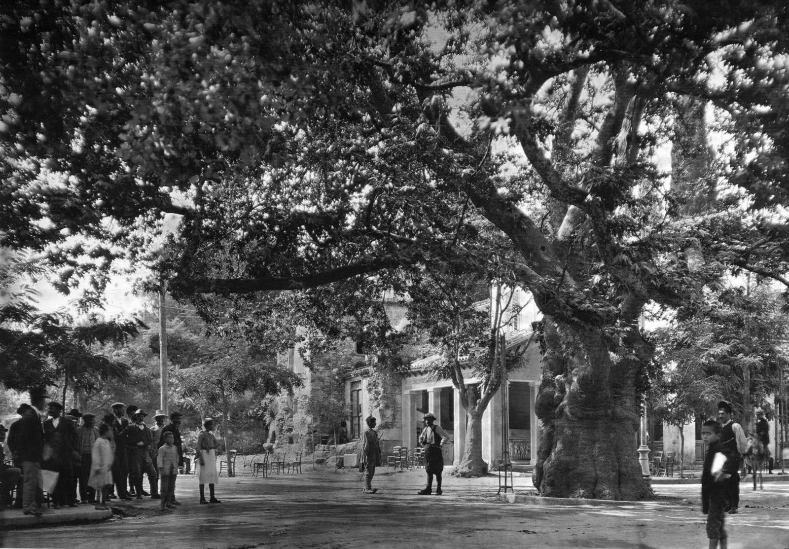 [ScannedImage-5.jpg]