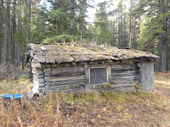 Old Cabin