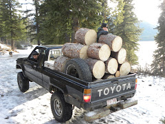 hauling wood when truck was used