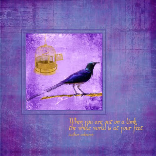 collage mixed media bird birdcage abstract