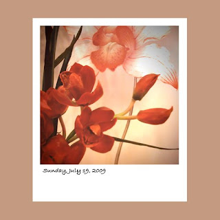 iPhone polaroid, red tulips