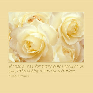 white roses, canvas wrapped giclee print, Swedish Proverb