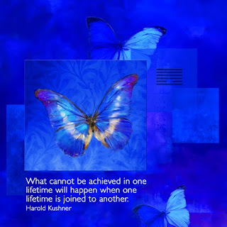 butterflies, canvas wrapped print, Harold Kushner quote