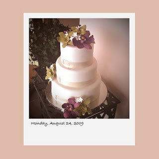 iPhone polaroid, wedding cake