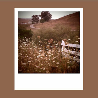 iPhone polaroid, Bodega Bay, etsy