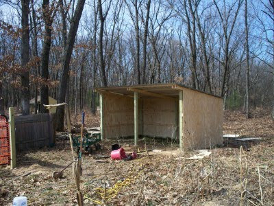 Alpaca Shelter Plans