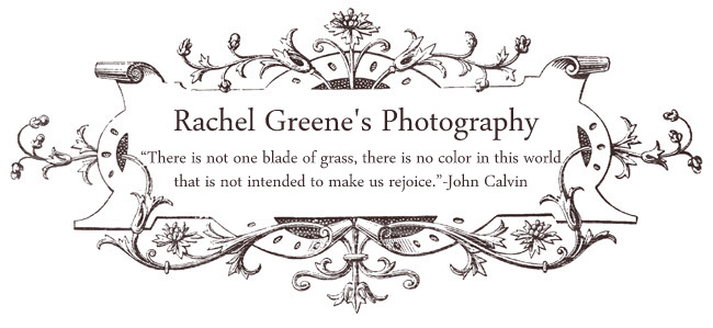 Rachel Greene's Photography