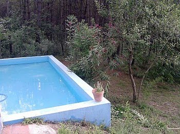piscina  en pleno bosque