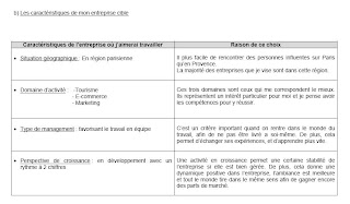 Promo 2009  Market Strat Exemple de projet pro