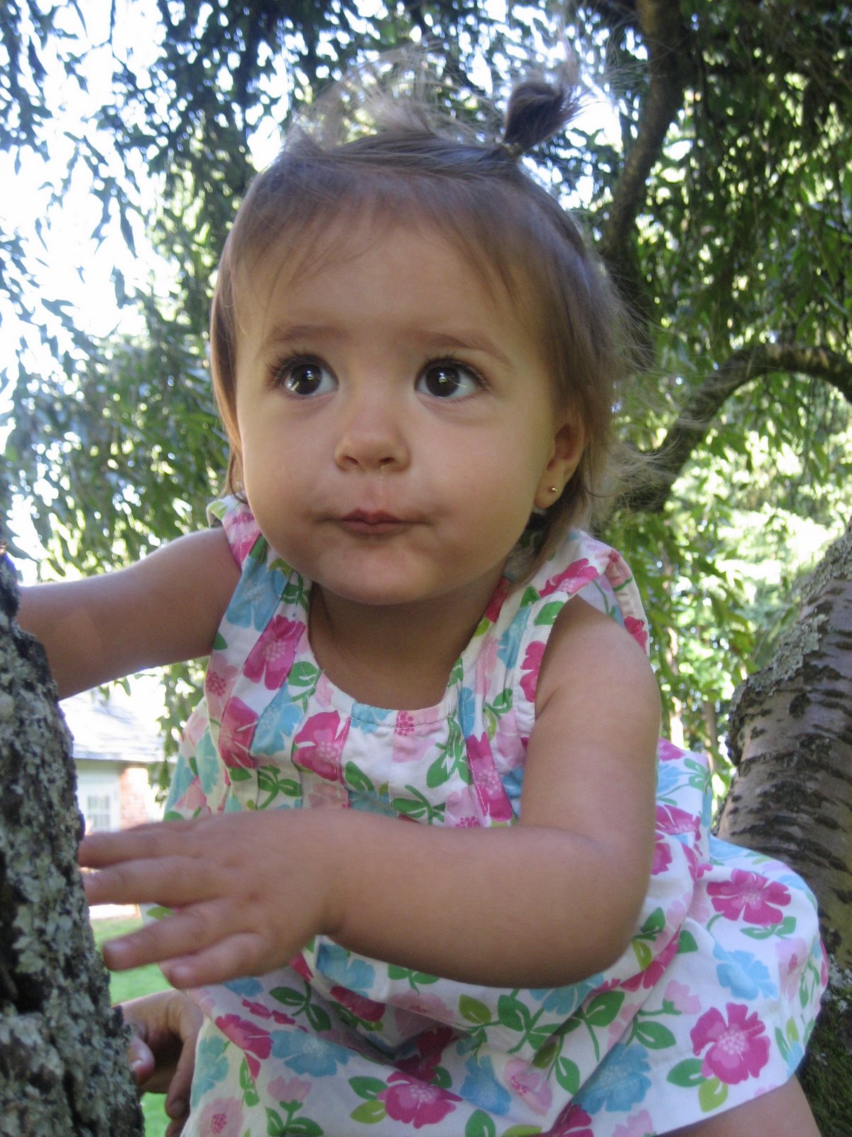 [IMG_1284.JPG]