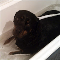 Bath time Bath time