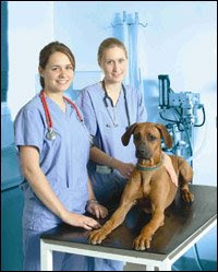 The vets look friendly, so why do I look so scared? The vets look friendly, so why do I look so scared?