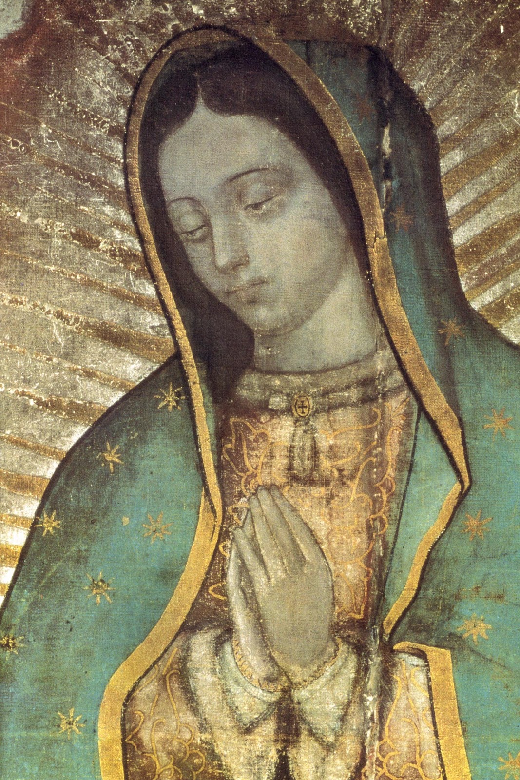 Mary's Blue Mantle Our Lady of Guadalupe