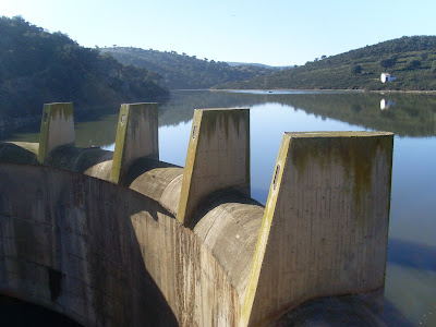 Altarejos