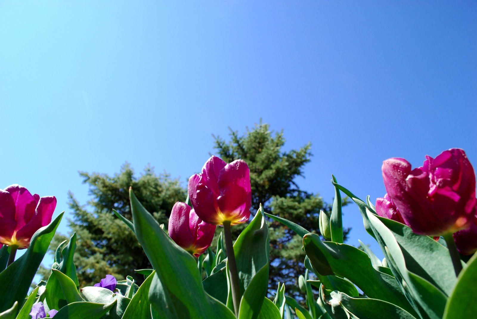 [DSC_0041-2-2.jpg]