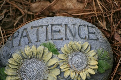 patience vs virtue Patience is max holloway's new virtue by the first and most important is patience the last stylebender impressed with a second-round tko win vs rob. patience vs virtue Patience is max holloway's new virtue by the first and most important is patience the last stylebender impressed with a second-round tko win vs rob.
