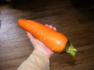 big+carrot+in+my+hand.JPG.jpeg