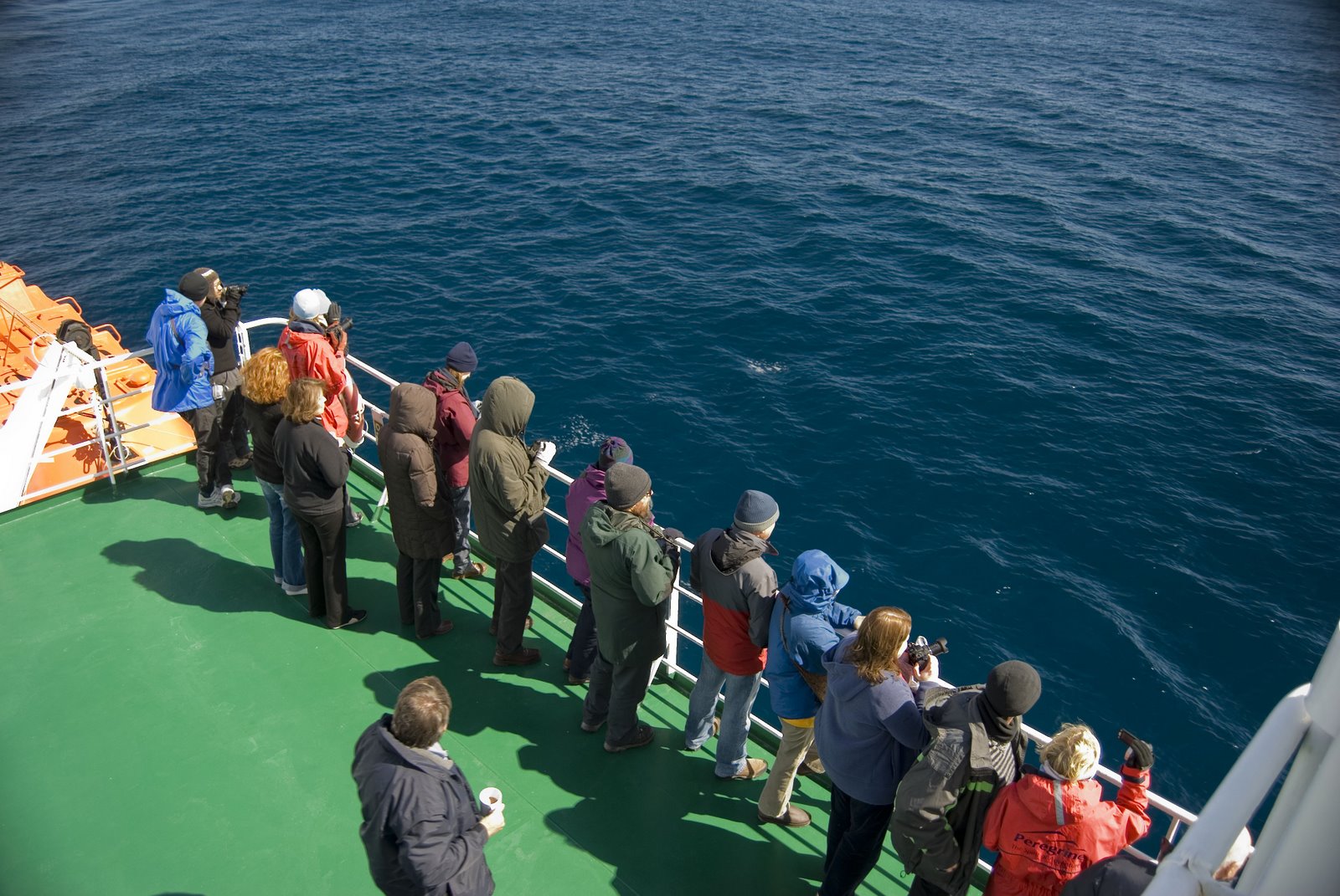 [whale+watching+4.JPG]