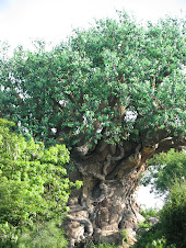 de tree of life in animal kingdom