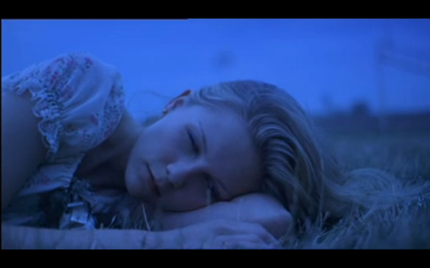 rebecca cohen virgin suicides