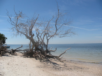 Beer Can Island