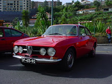 Membro Squadra Alfa Romeo Madeira