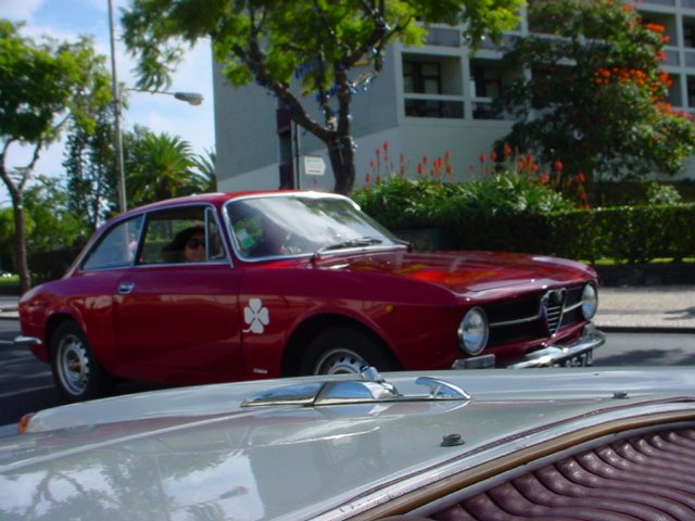 [DSC00163.JPG]