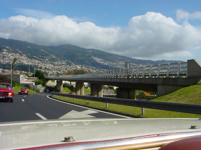 [DSC00171.JPG]
