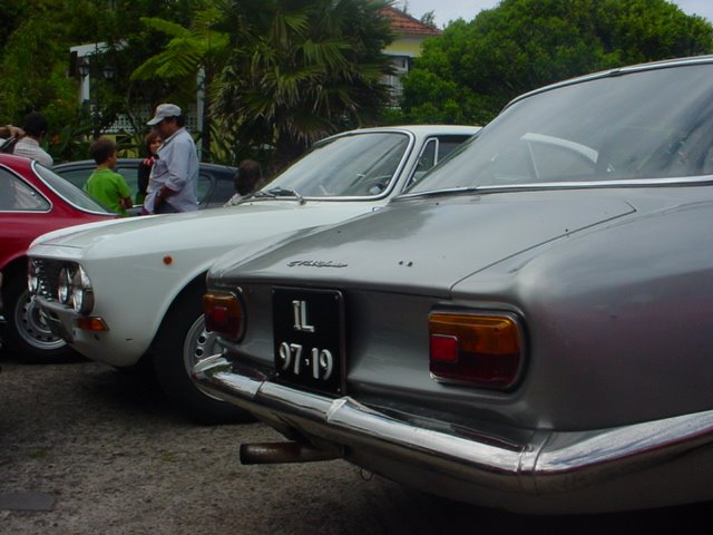 [DSC03000.JPG]