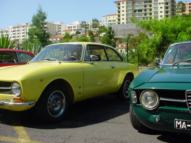 [DSC04546.JPG]
