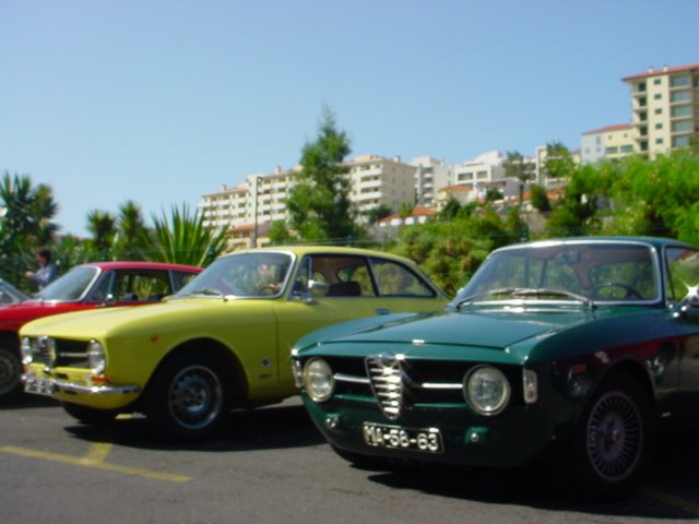 [DSC04544.JPG]
