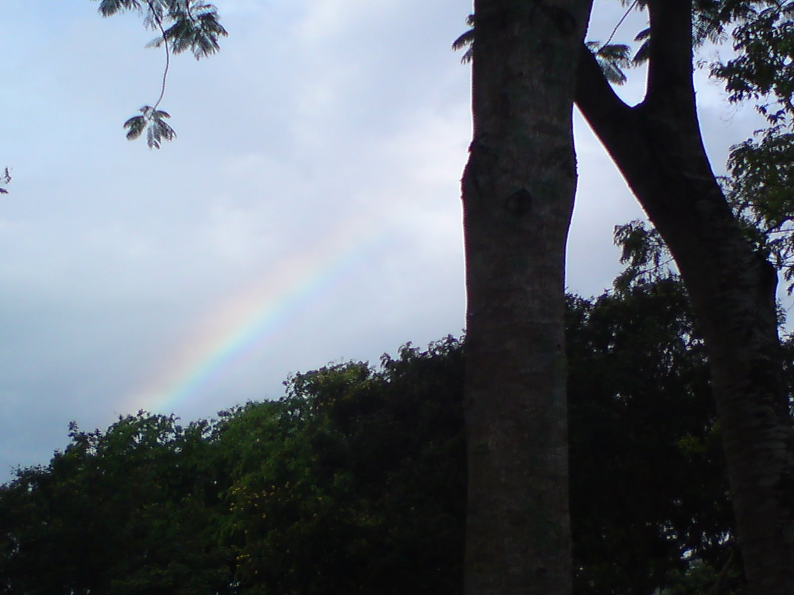[rainbow.JPG]