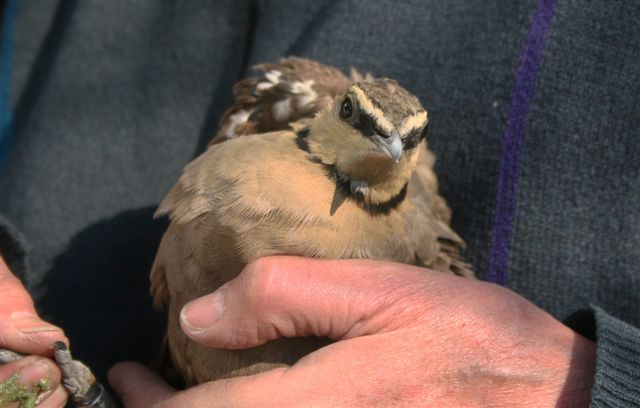 [Joan+Faiola+03.09.2009+(6).jpg]