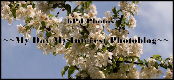 MyDayMyInterestsPhotoblog