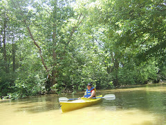 The Kayak Adventure