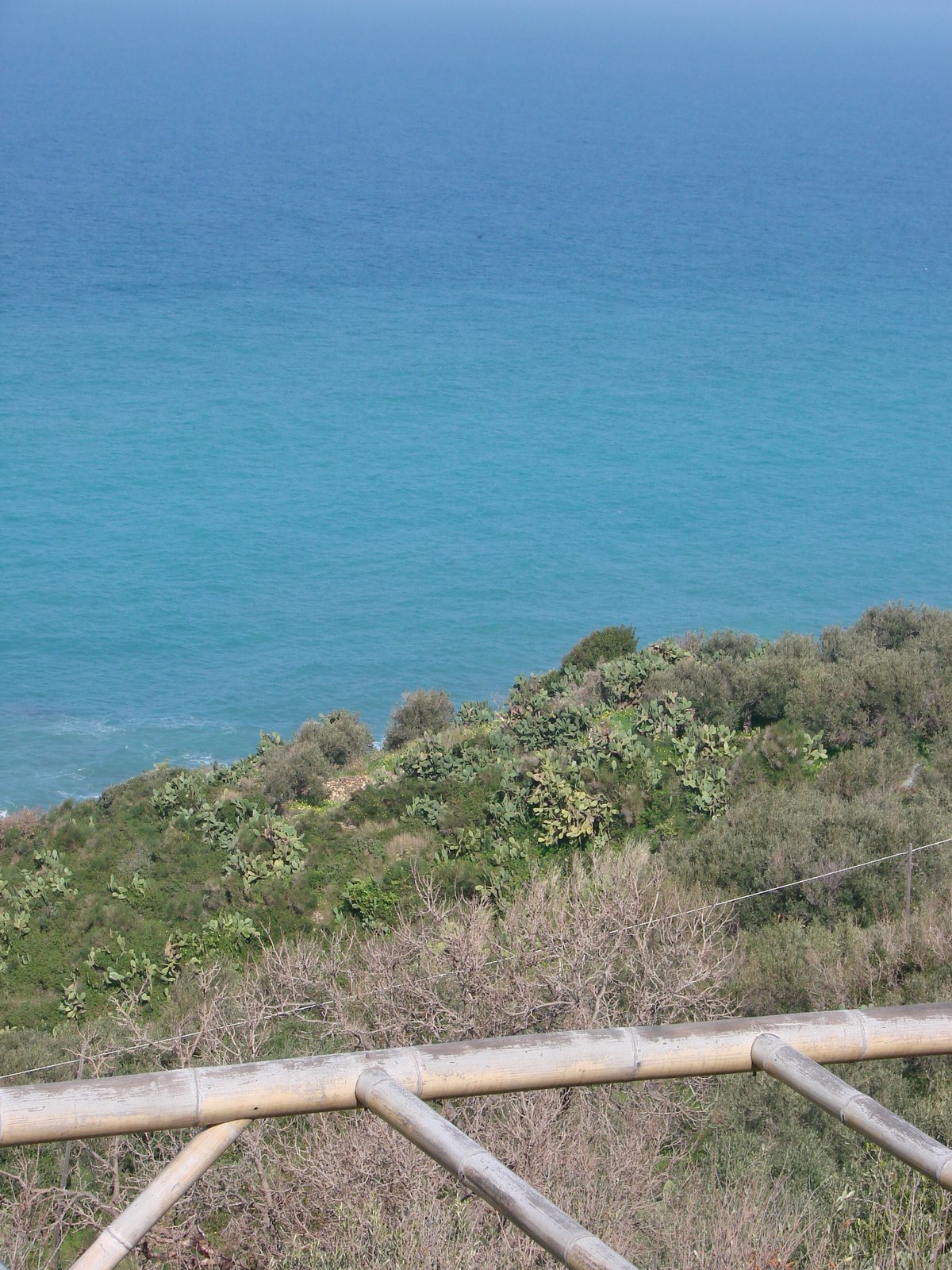 [DSC03651.JPG]