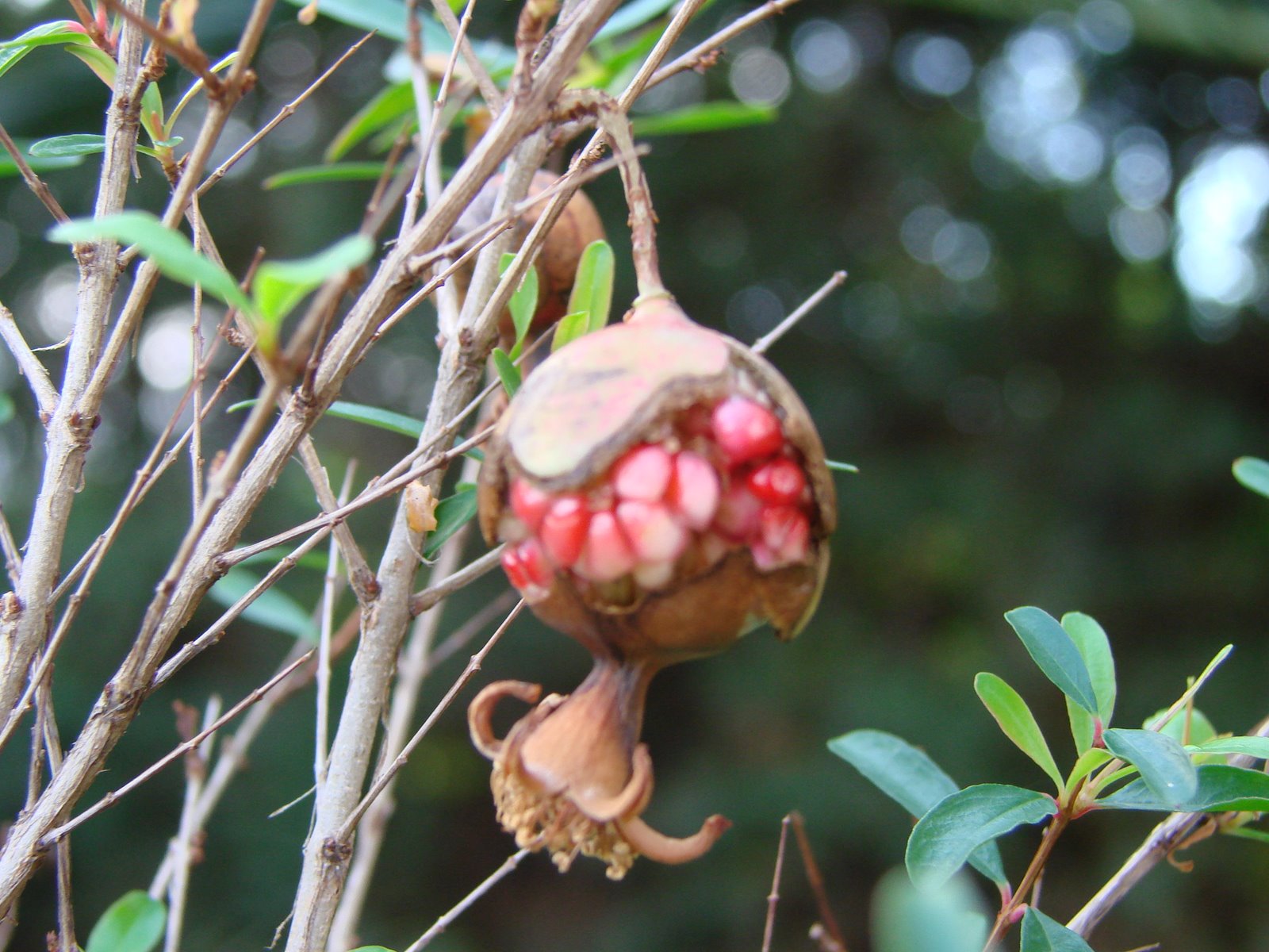 [DSC01192.JPG]
