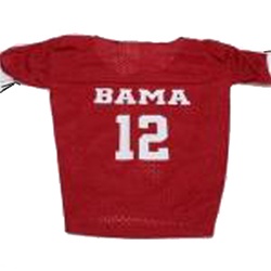 [DN-Alabamajersey-2T.jpg]