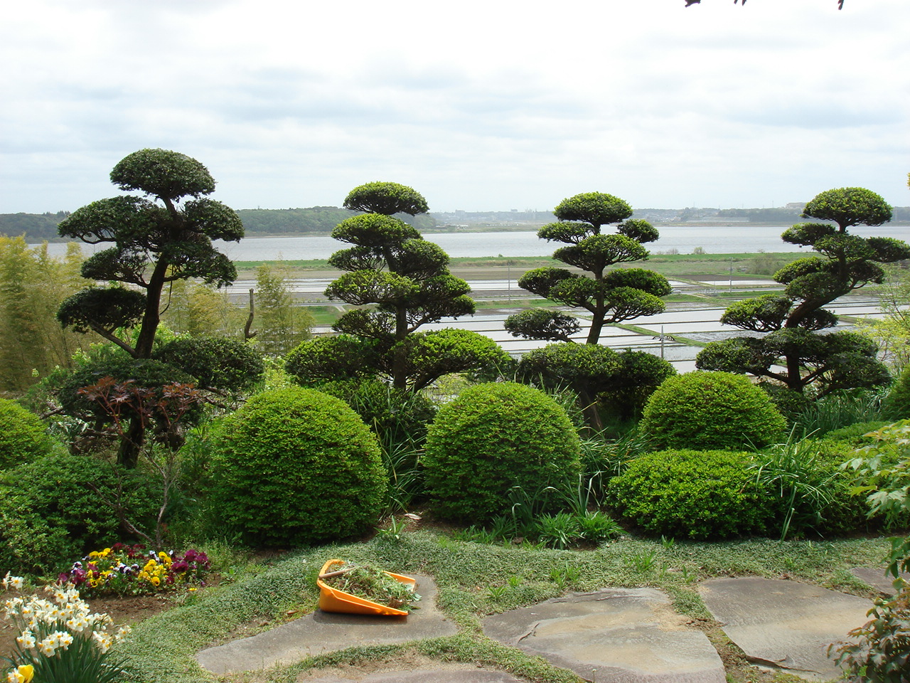 [DSC01545.JPG]