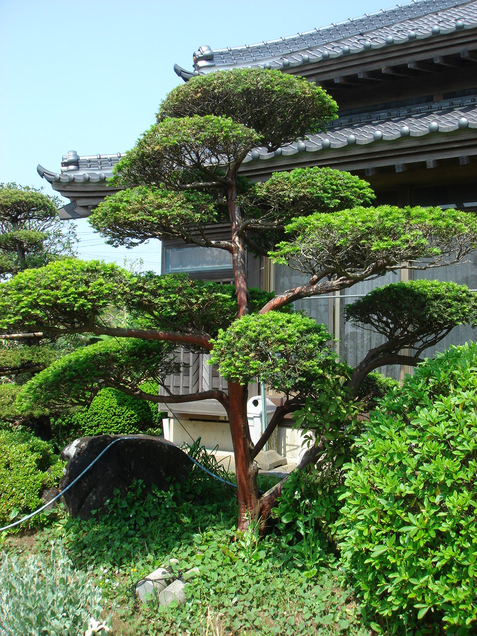 [DSC01689.JPG]