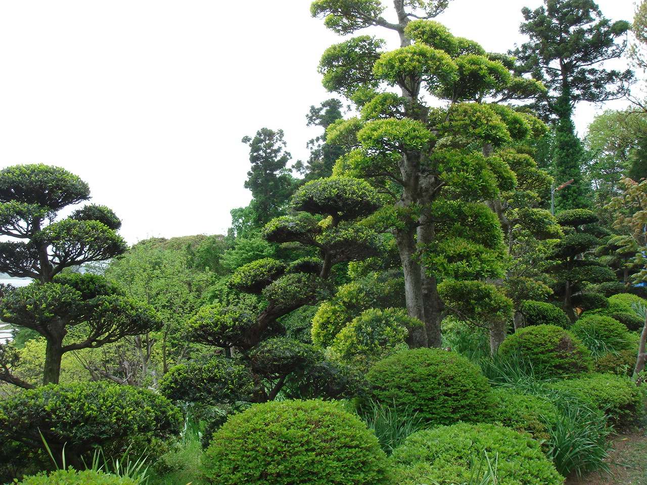 [DSC01548.JPG]