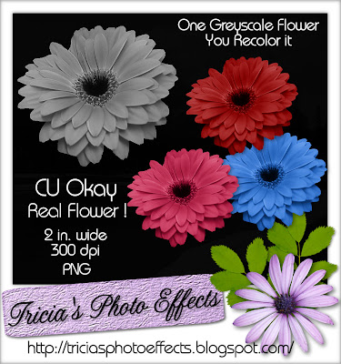 CU Flower Freebie 2 Tricia_gerber+recolor_cu