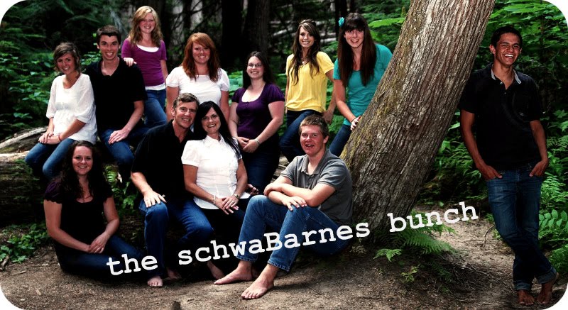 the schwaBarnes bunch